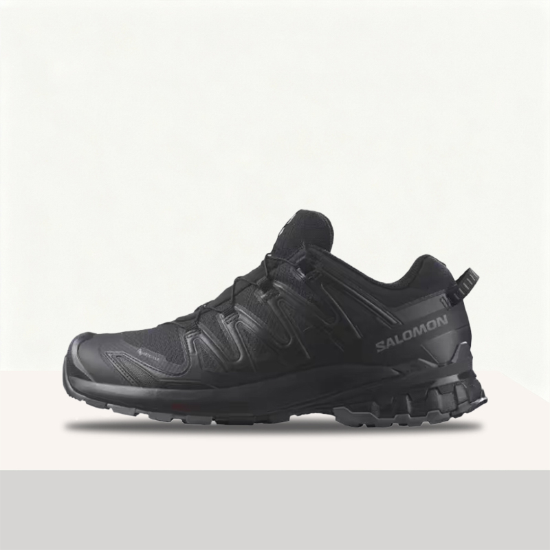 Salomon XA Pro 3D V9 GTX: Styl - Salomon Shoes Xa Pro 3D ulasan dan harga